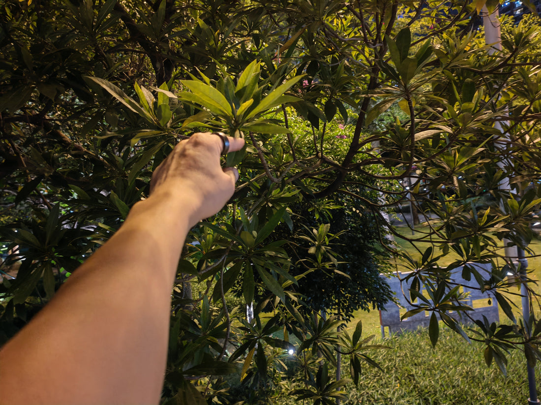 SE Smart Ring: Enhancing Your Life Experience