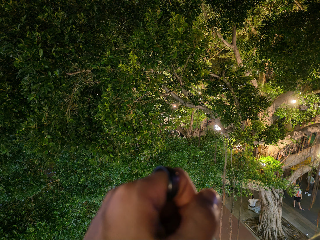 SE Smart Ring: Your Ideal Companion for Heart Health