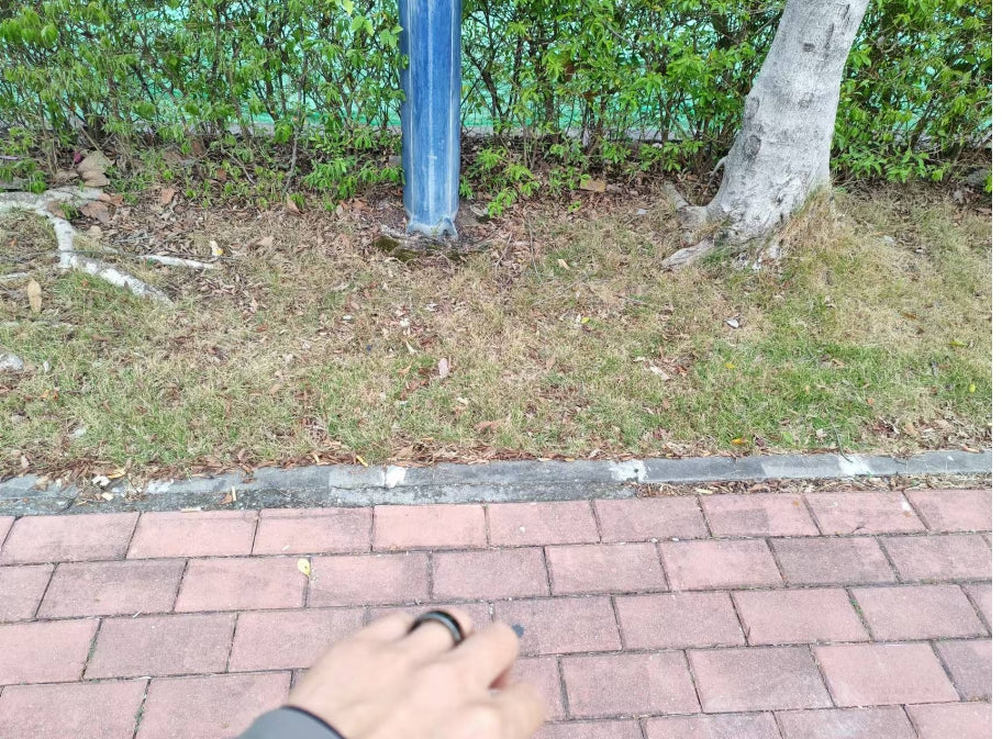 SE: A Health Monitoring Device for All Sports Scenarios