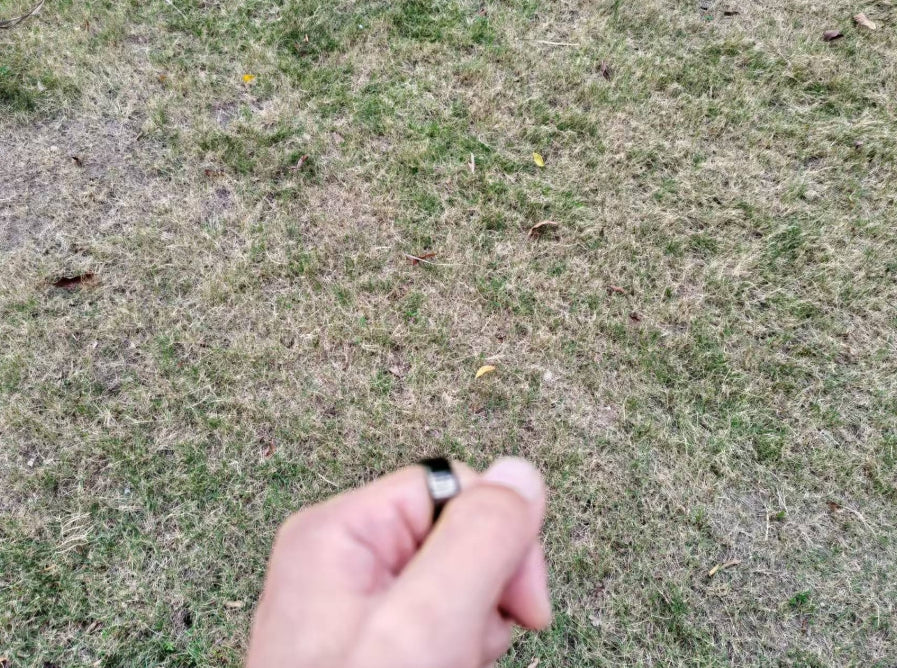 Smart Ring SE: The Best Health Monitoring Companion