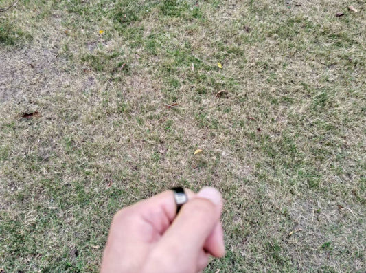 Smart Ring SE: The Best Health Monitoring Companion